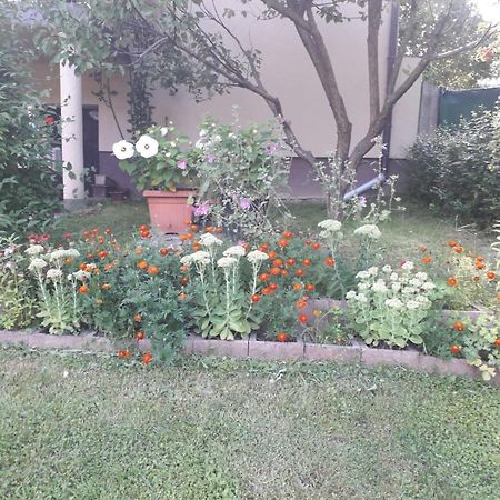 Kuca Za Odmor Bajtica Villa Jesenovec Kültér fotó