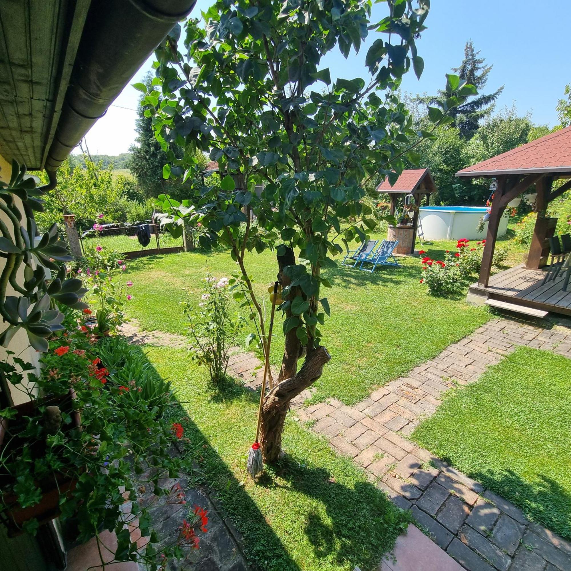 Kuca Za Odmor Bajtica Villa Jesenovec Kültér fotó