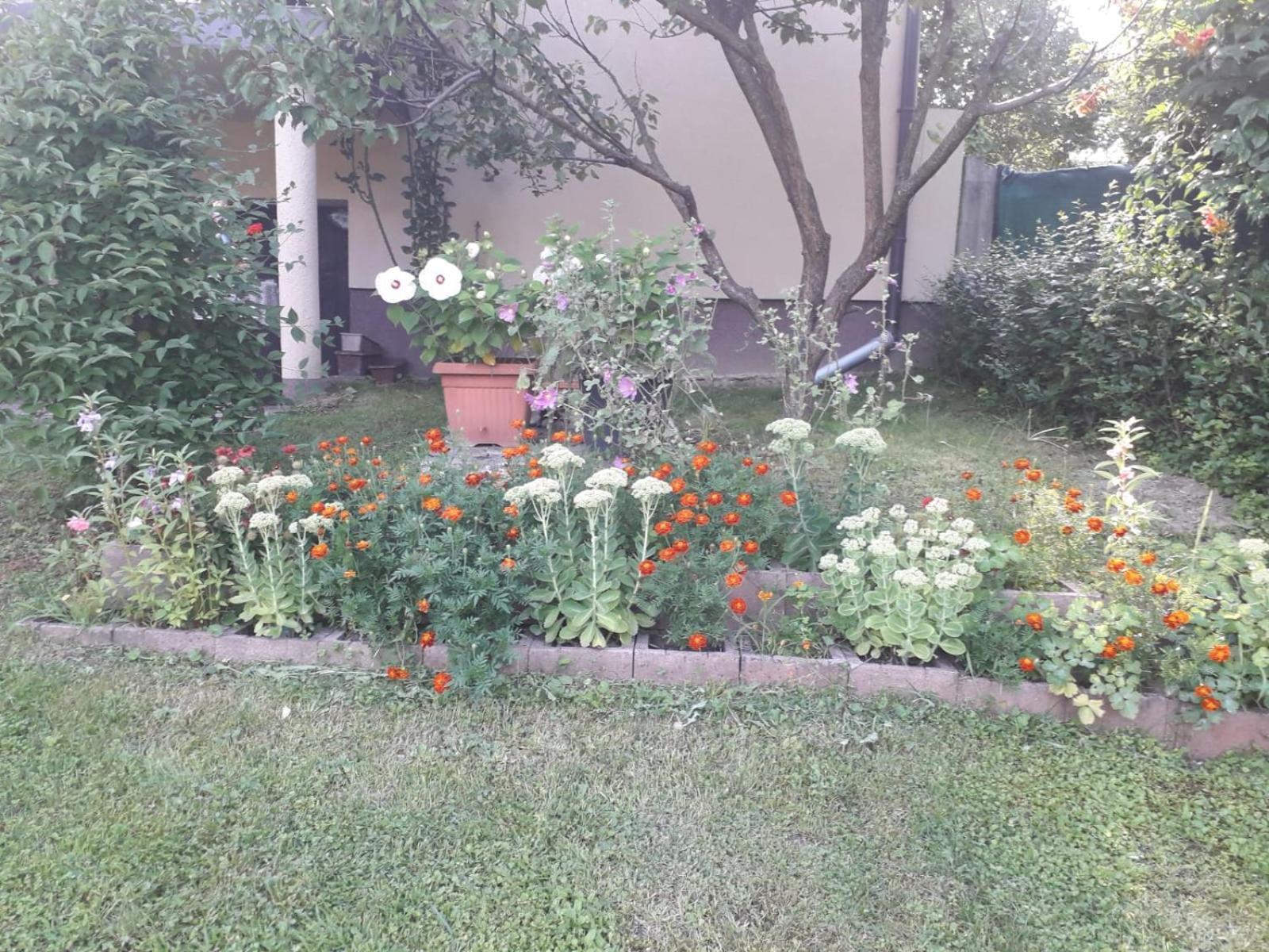 Kuca Za Odmor Bajtica Villa Jesenovec Kültér fotó